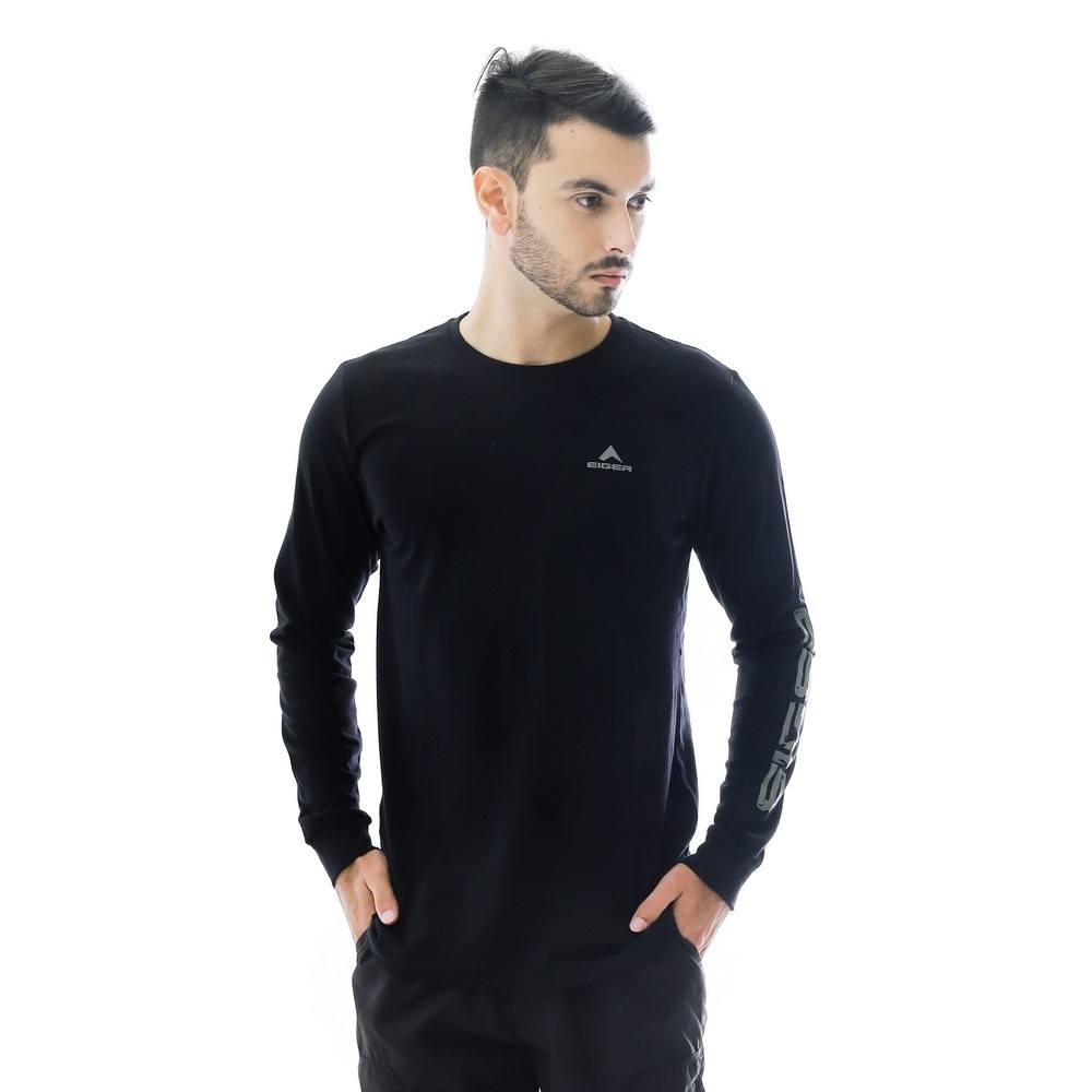 910004719 EIGER INFLUENTIAL