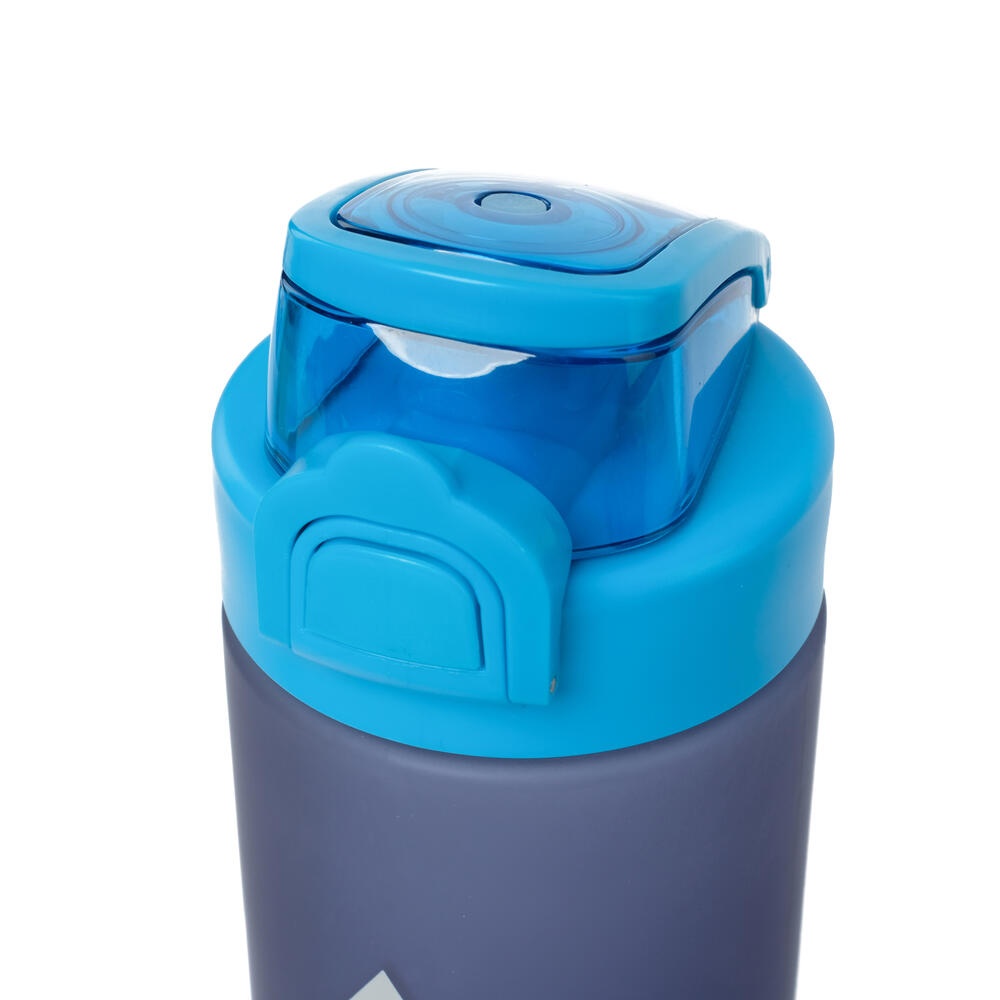 910010985 MALVALES 700