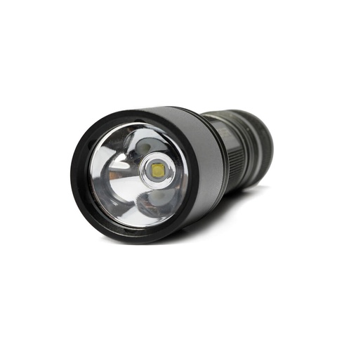 910010346 TRIMESTRE 250 TORCH