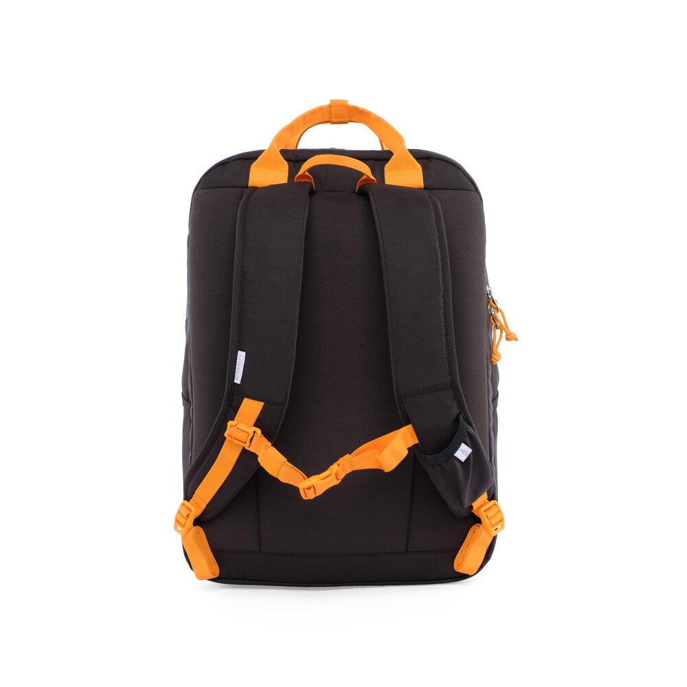 910006696 X-NYIMPHAEA 25