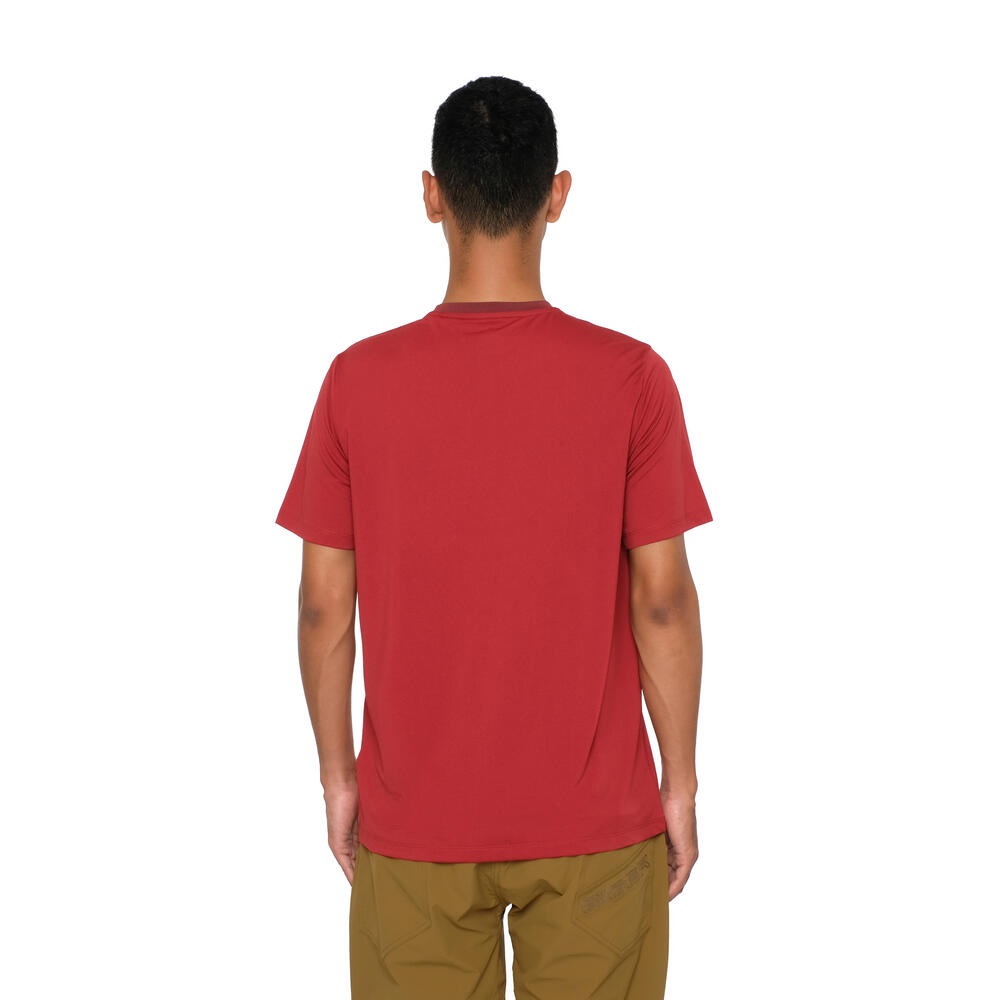 910010877 WALL WIZARDS