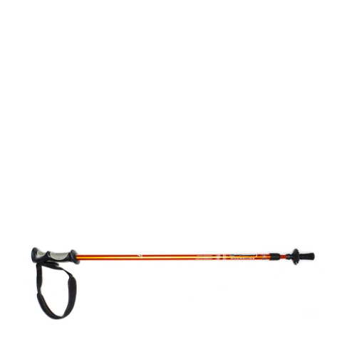 910002339 TREKKING POLE 2 SECTION