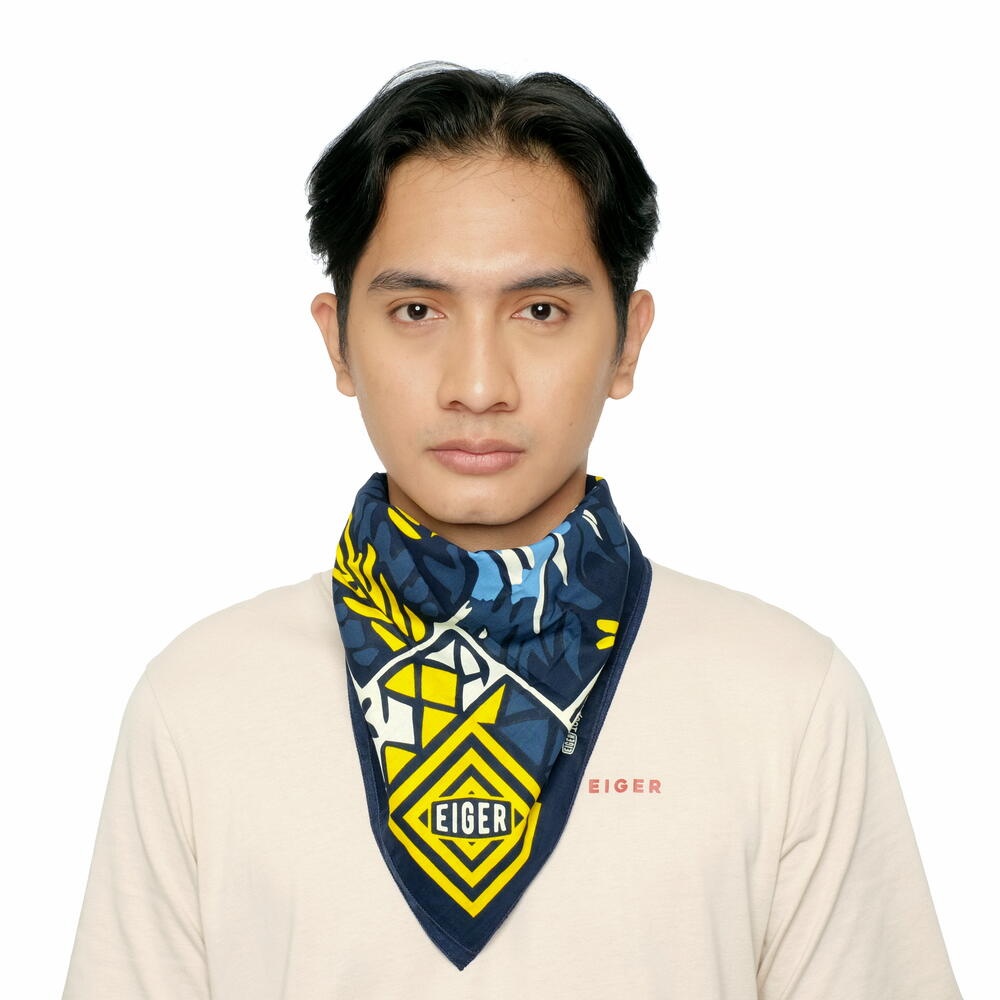 910010196 HILLWANDER NECKERCHIEF