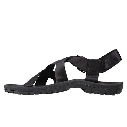 S. BASILISK INJECTION