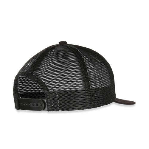 PINNACLE CAP