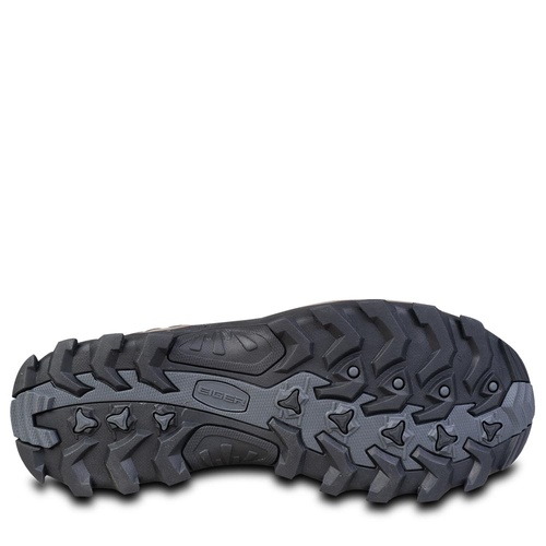 TIGER CLAW 2.0