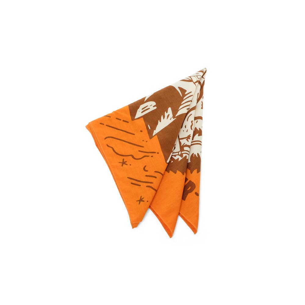 910010594 WS VIRERE NECKERCHIEF