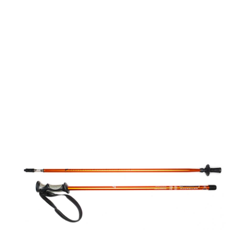 TREKKING POLE 2 SECTION