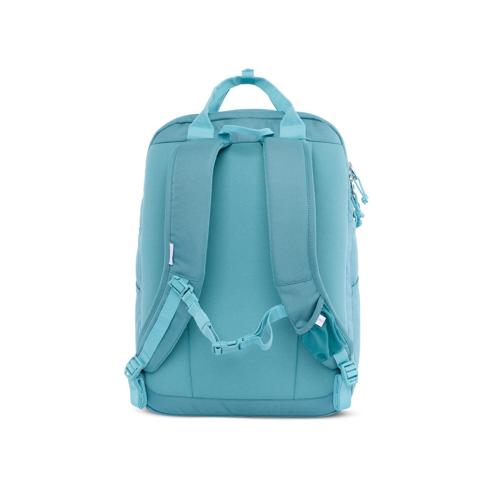 910006696 X-NYIMPHAEA 25