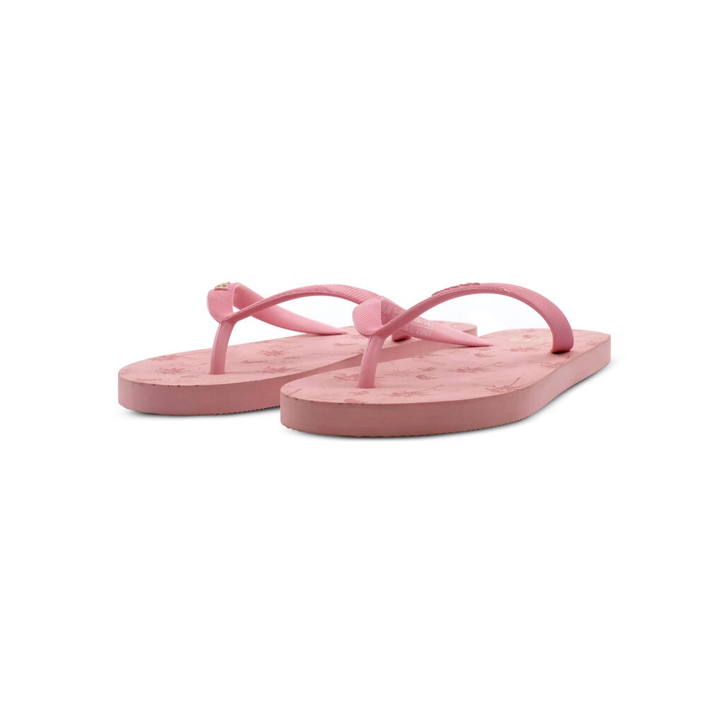 910007097 COFETE WS 1.0