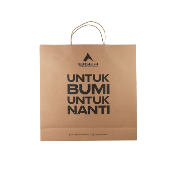 PAPER BAG EIGER GREEN 45X45