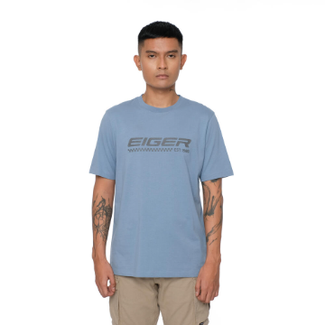 IRON STEEL