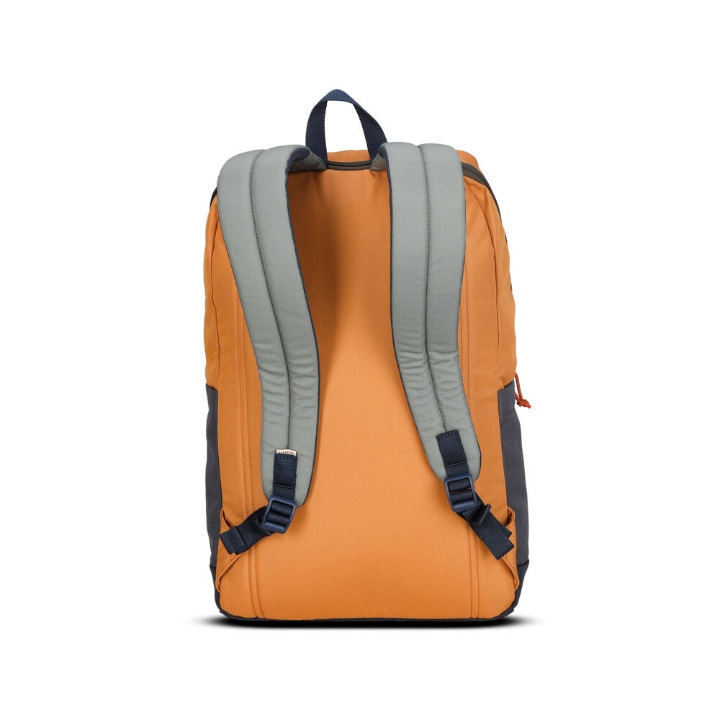 910009535 WS COSMIA LS