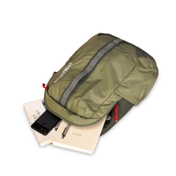 910009637 DESCENT 20